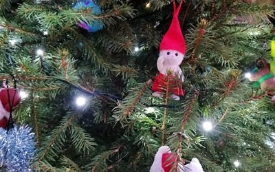 Havunen jo toista vuotta mukana Kuusipuistossa ja vähävaraisten kuusilahjoituksessa