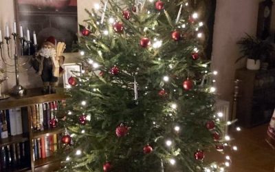 Joulukuusitarinoita- minkälaisia muistoja ja merkityksiä joulukuusiin liittyy